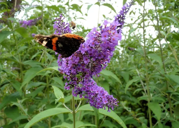 Σπίτι διακοπών La Longere